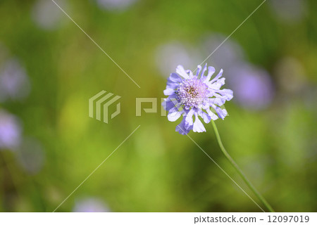 Matthew Matthew 12097019