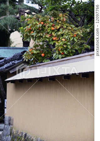 Nagamachi Samurai House,秋季 Nagamachi Samurai House,秋季 12097766