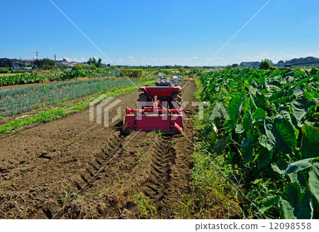 Meanuma稻田·農田Kamiyamaguchi Shinda 12098558