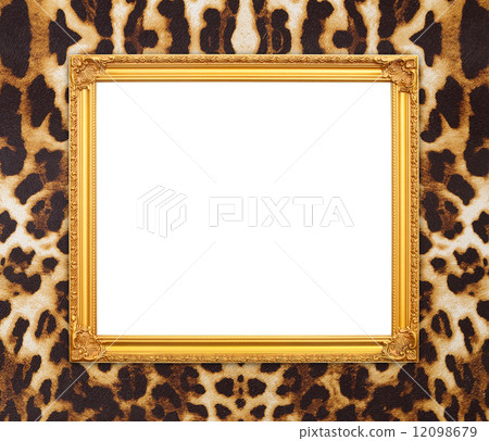 blank golden frame with leopard texture blank golden frame with leopard texture 12098679