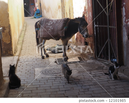 Moroccan alley Moroccan alley 12101985