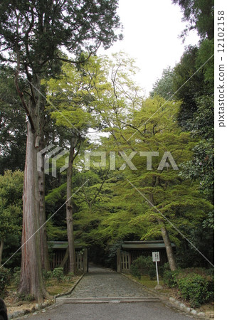 Emperor Tenchi 12102158