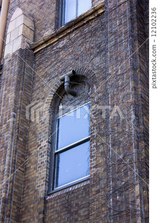 北海道大學，北海道大學，北海道大學綜合博物館 12102236