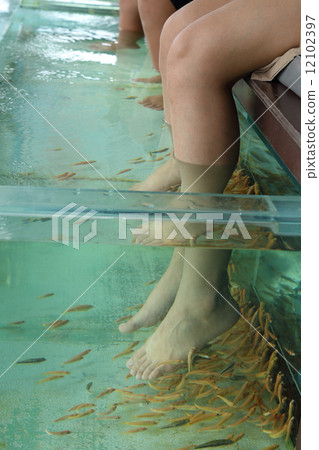 Fish Spa Skin Therapy 12102397
