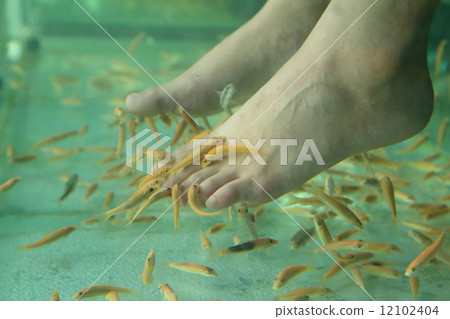 Fish Spa Skin Therapy Fish Spa Skin Therapy 12102404