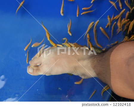 Fish Spa Skin Therapy 12102418