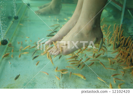 Fish Spa Skin Therapy Fish Spa Skin Therapy 12102420