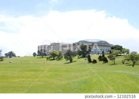 Auckland 4 Auckland 4 12102516