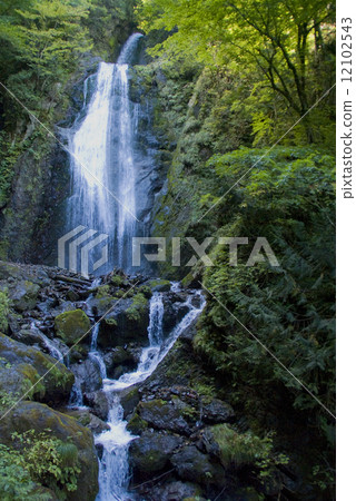 回顧瀑布秋田肯 12102543