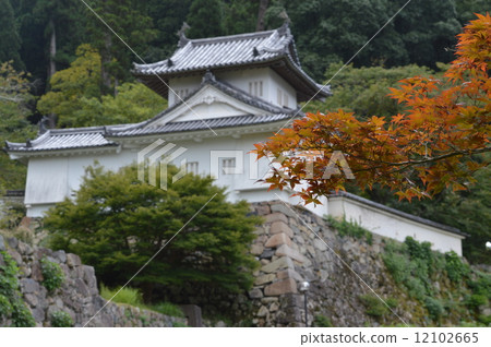 Izushi Castle Izushi Castle 12102665
