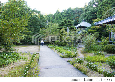 四國大佛第65佛教寺廟 12104335