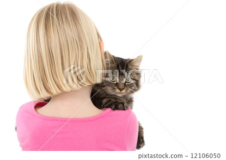 Cute girl holding grey kitten Cute girl holding grey kitten 12106050