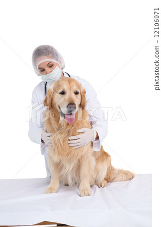 Vet getting ready for surgery Vet getting ready for surgery 12106971