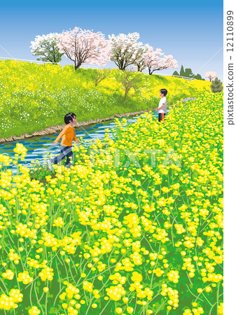 Rape blossoms at Cosmos Park Kitano 12110899
