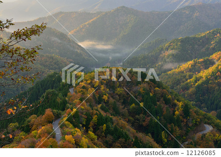 Autumn leaves on a small entrance Autumn leaves on a small entrance 12126085