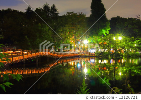 井之頭公園的夜晚 井之頭公園的夜晚 12126721