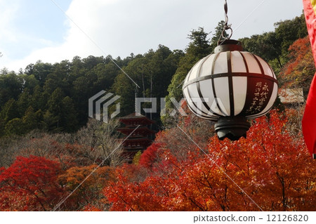 Hasegaji in autumn 12126820