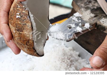 coconut 12128395