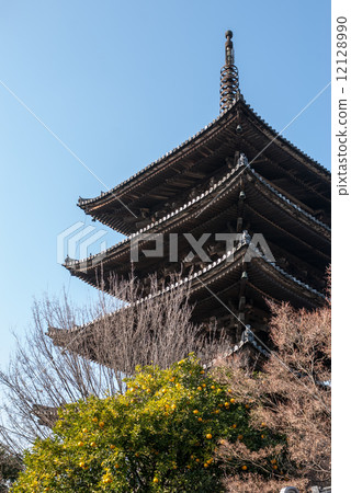 Tower of Yasaka Hokan-ji Temple 12128990
