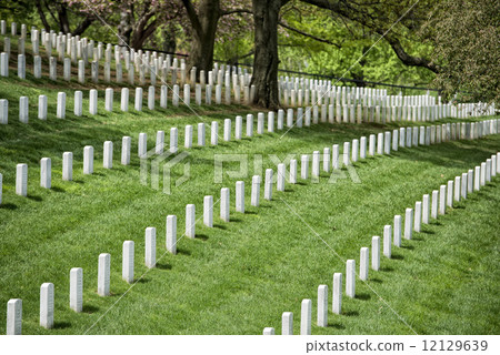 arlington cemetery graveyard arlington cemetery graveyard 12129639