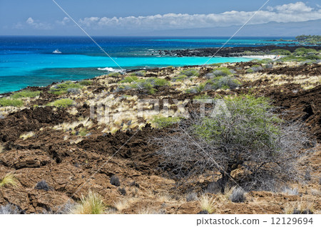 big island hawaii lava and sea big island hawaii lava and sea 12129694