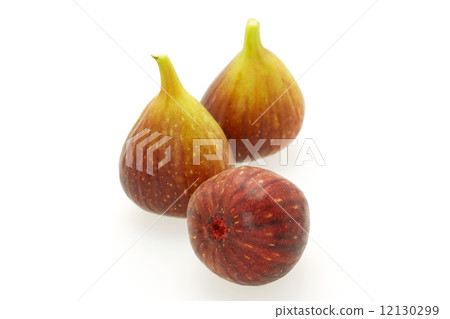 FIG  12130299