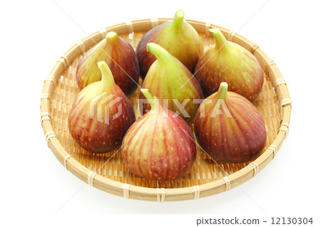 FIG  12130304