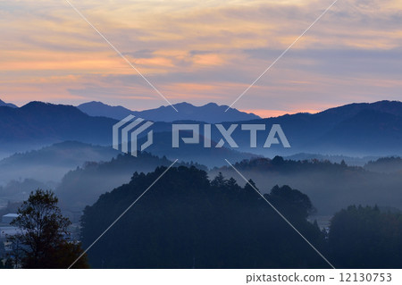 台場海的海 12130753