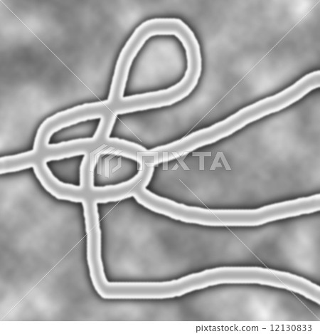 Ebola virus 12130833