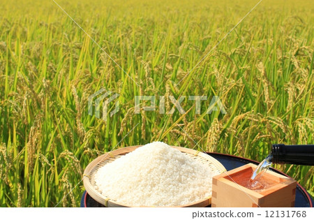 Fruits of good harvest and sake 12131768