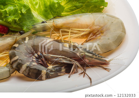 King and waterleg shrimps King and waterleg shrimps 12132033