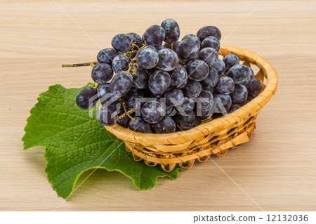 Grape 12132036