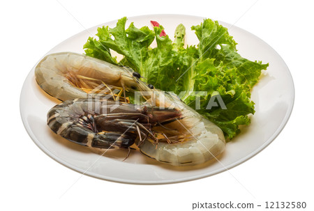 King and waterleg shrimps King and waterleg shrimps 12132580