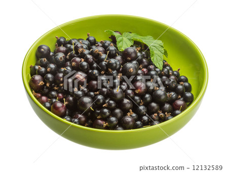 Black currant Black currant 12132589