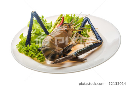 Freshwater prawn Freshwater prawn 12133014