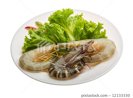King and waterleg shrimps King and waterleg shrimps 12133330