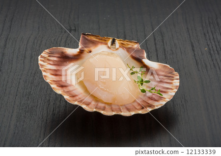 Raw scallops 12133339