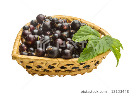 Black currant 12133448