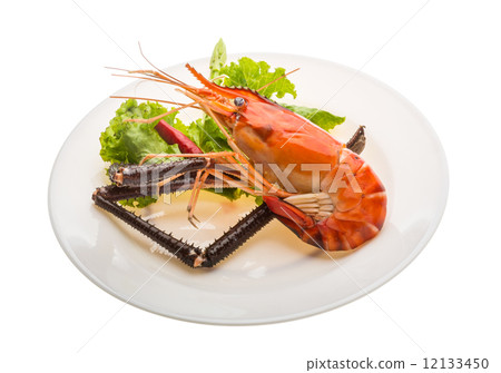 Giant Freshwater Prawn 12133450