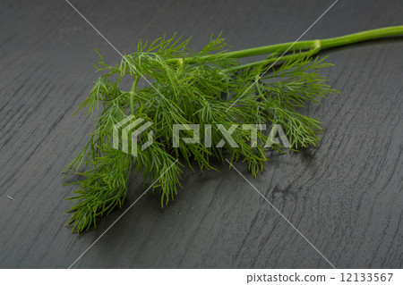 Dill 12133567