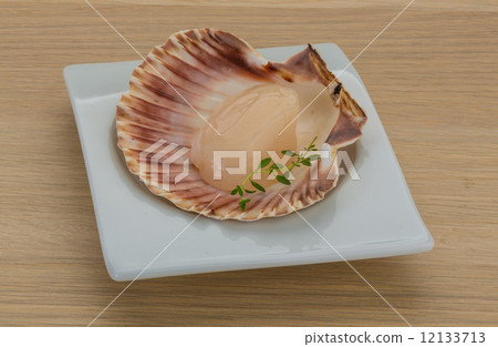 Raw scallops 12133713