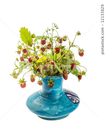wild strawberries wild strawberries 12133829