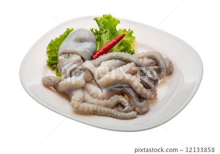 Raw octopus 12133858