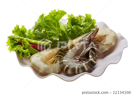 King and waterleg shrimps King and waterleg shrimps 12134100