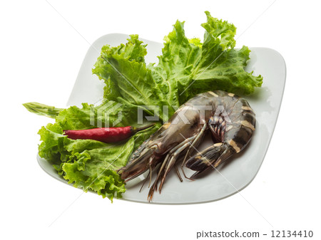 Tiger prawn 12134410