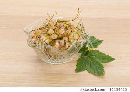 White currant White currant 12134430