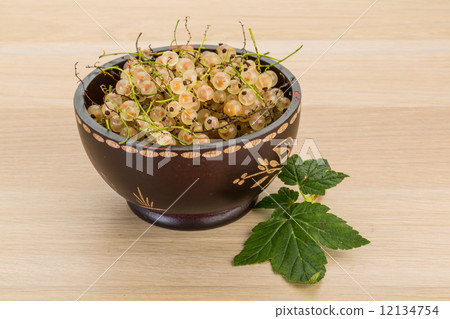 White currant White currant 12134754