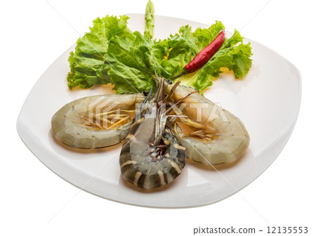 King and waterleg shrimps King and waterleg shrimps 12135553