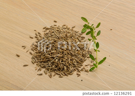 Zia seeds 12136291