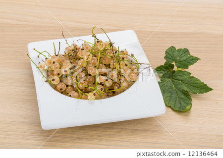 White currant White currant 12136464